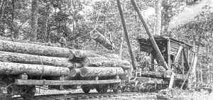 people lowering lumber onto a train