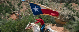 Texas flag