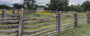 wooden fence surrounding a property